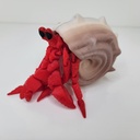 Hermit Crab and Shell - STL1000